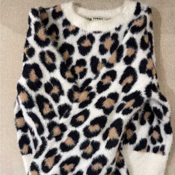 Aritzia Sweaters - Aritzia sunday best leopard sweater xxs